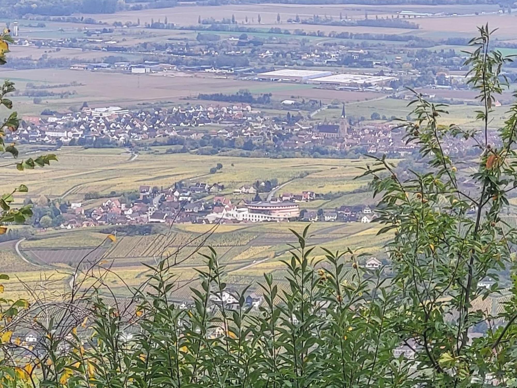 Sur La Route Du Vin Rorschwihr Exterior foto